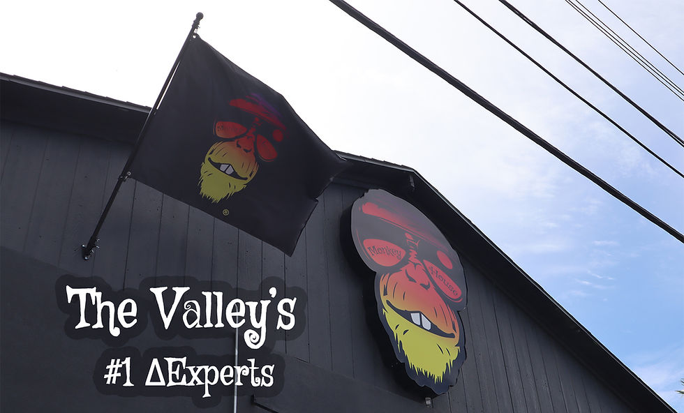 HOME Monkey House 2.0